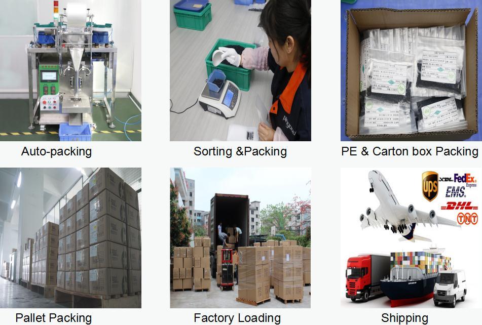 screw for phone laptop computer