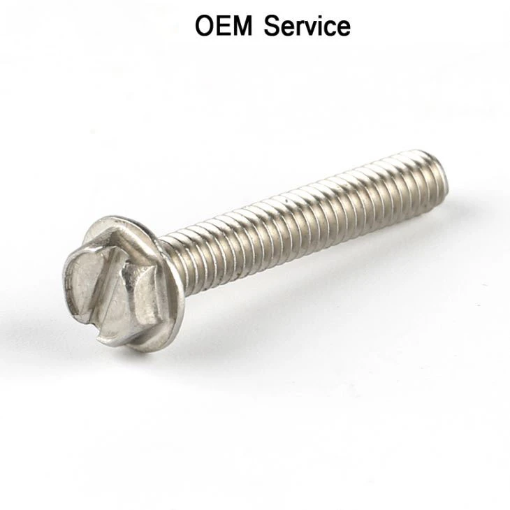 High Precision Hex Slotted Screw