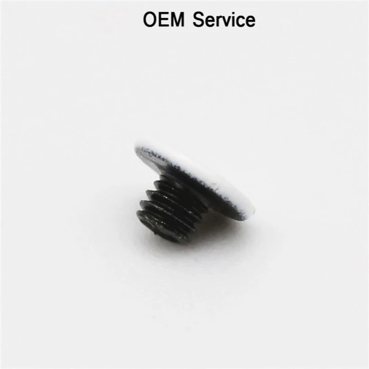 M2 White Head High Precision Miniature Screw